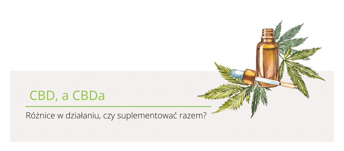 Dlaczego CBD powinno się przyjmować razem z CBDa? 3